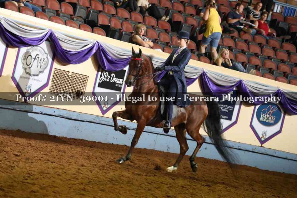 Proof 21YN_39001