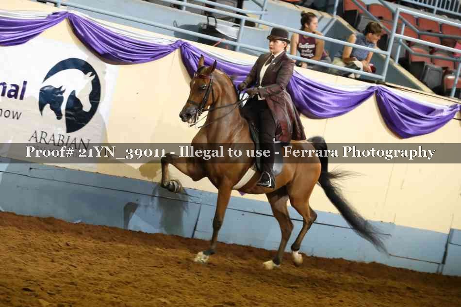Proof 21YN_39011