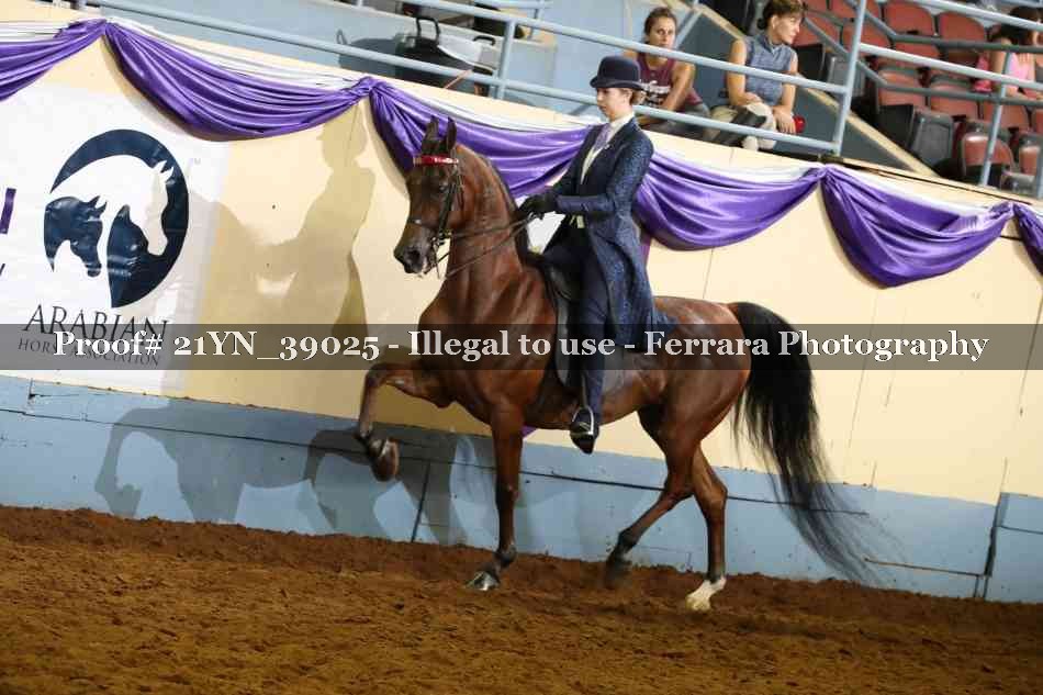 Proof 21YN_39025