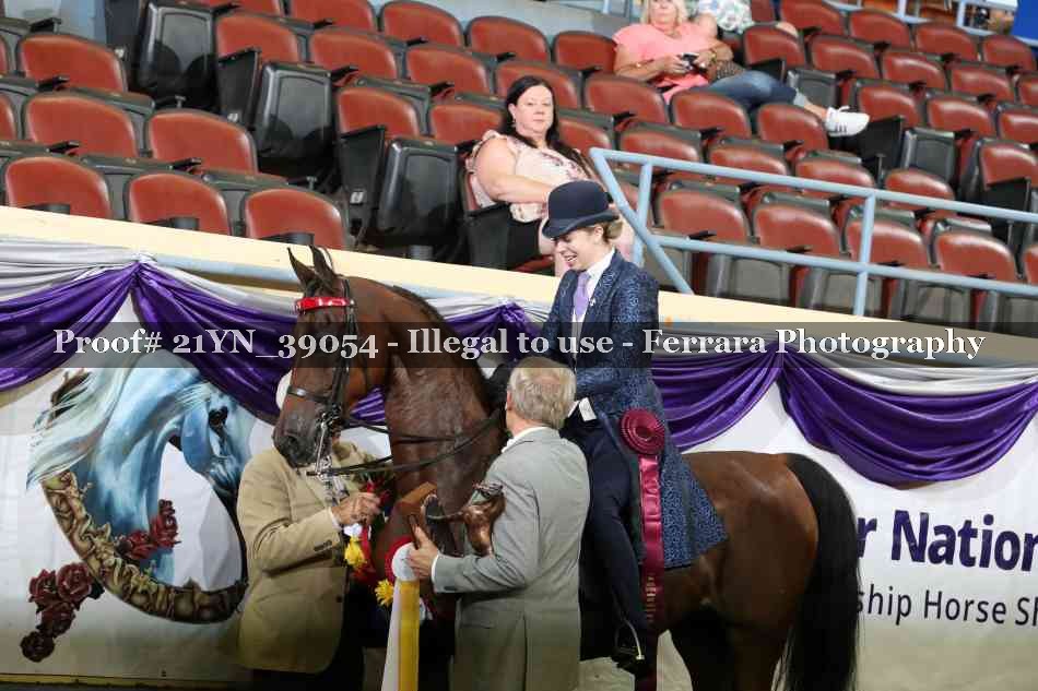 Proof 21YN_39054
