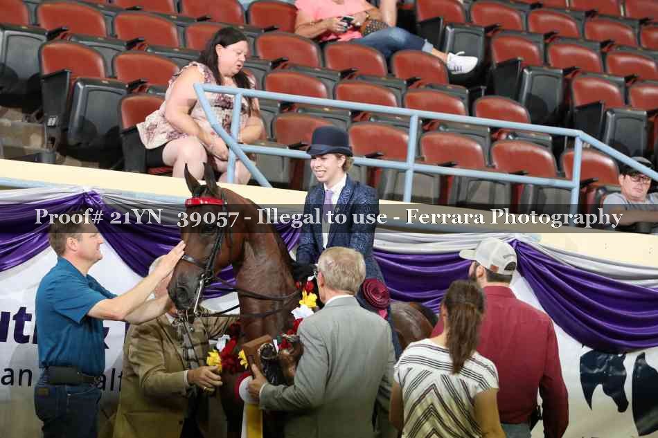 Proof 21YN_39057