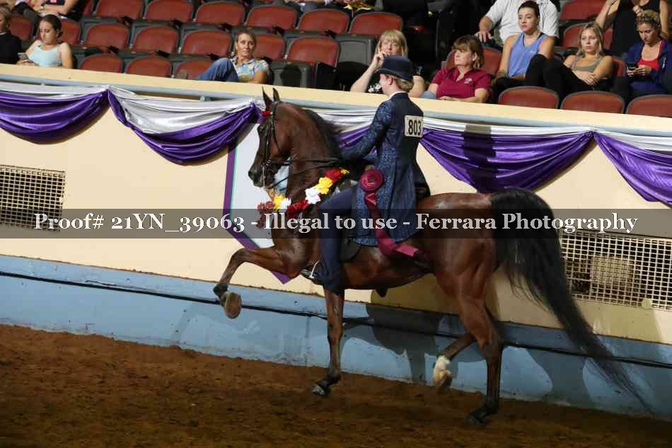 Proof 21YN_39063
