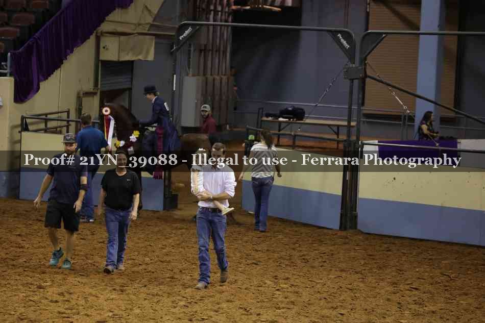 Proof 21YN_39088