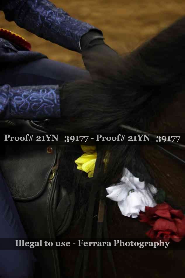 Proof 21YN_39177