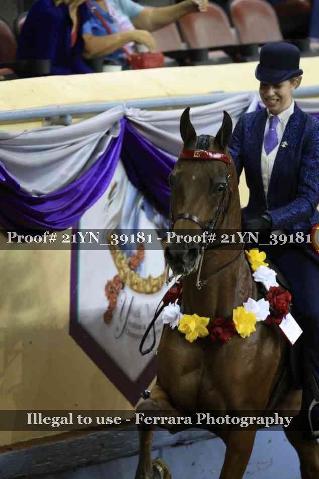 Proof 21YN_39181