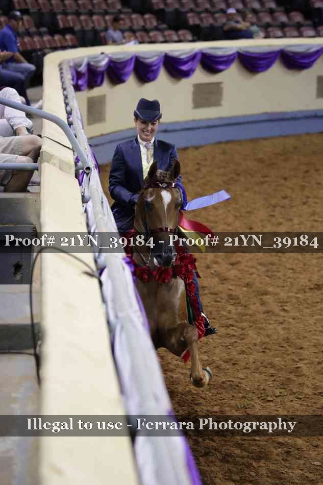 Proof 21YN_39184