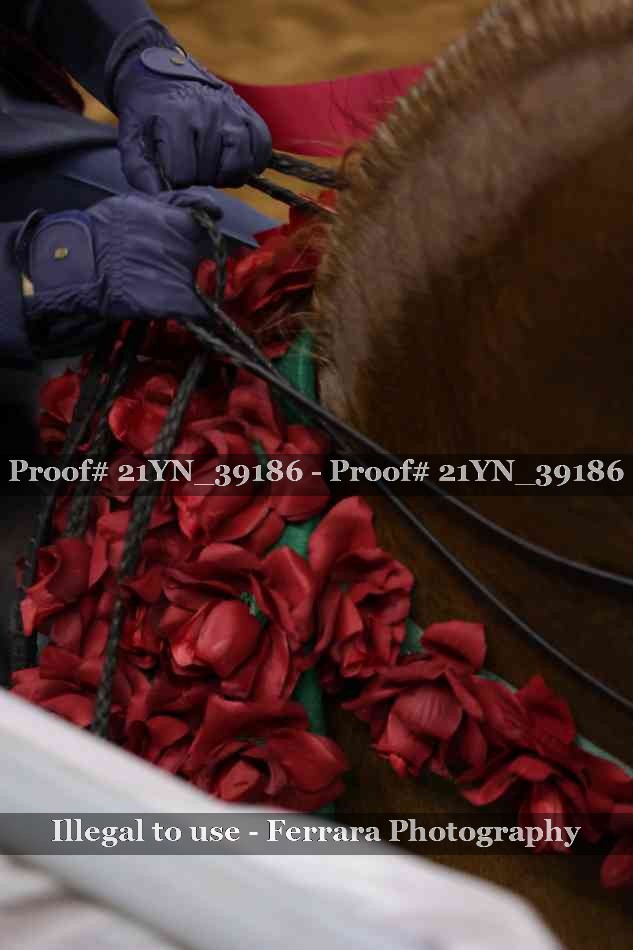 Proof 21YN_39186