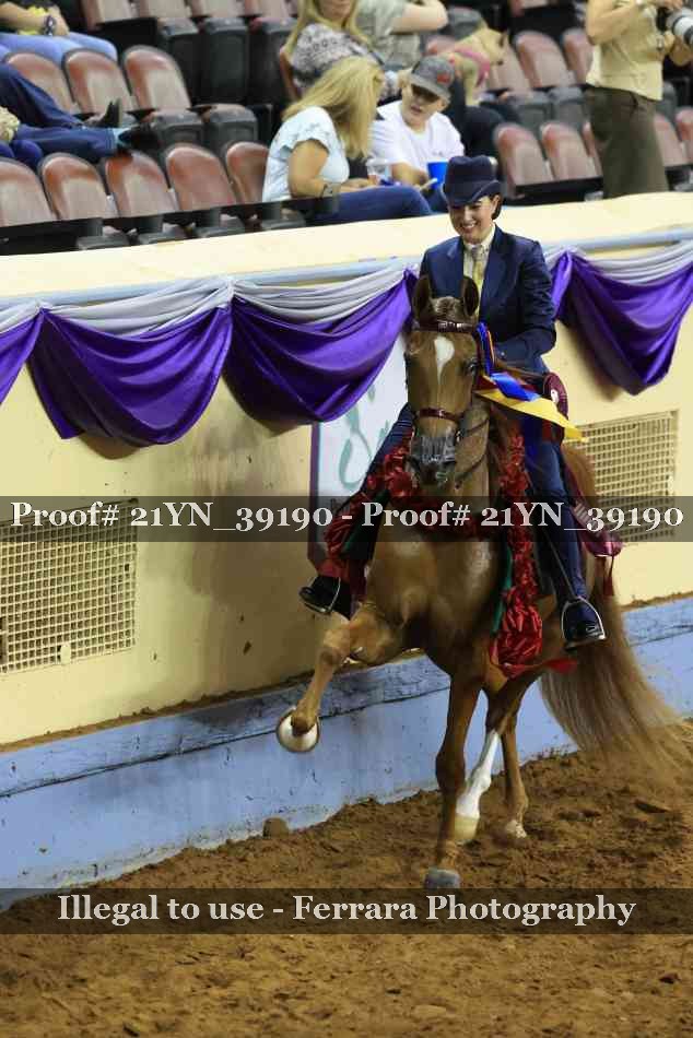 Proof 21YN_39190