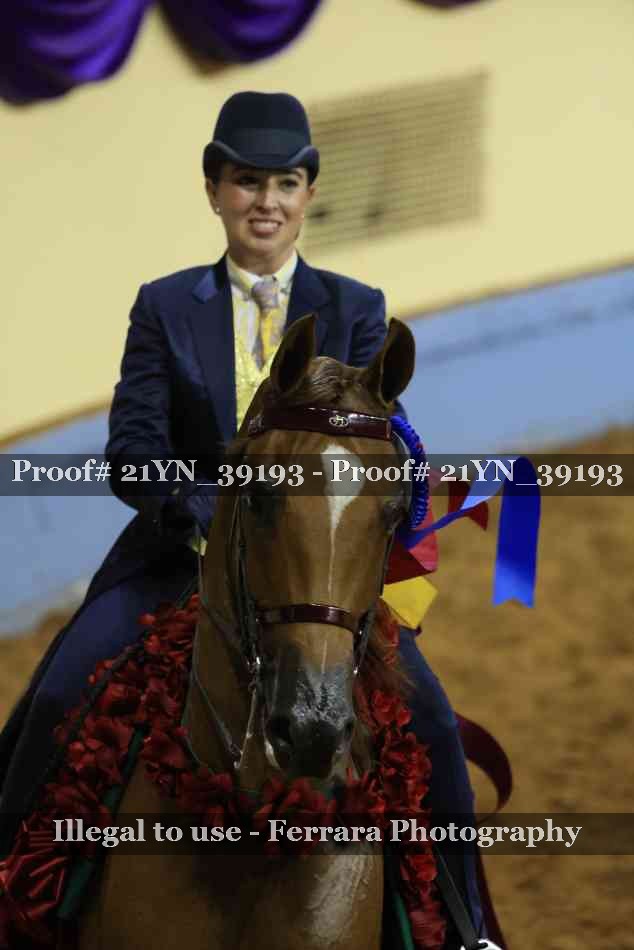 Proof 21YN_39193