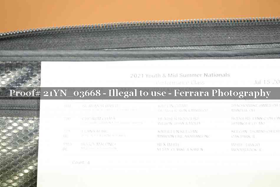 Proof 21YN_03668