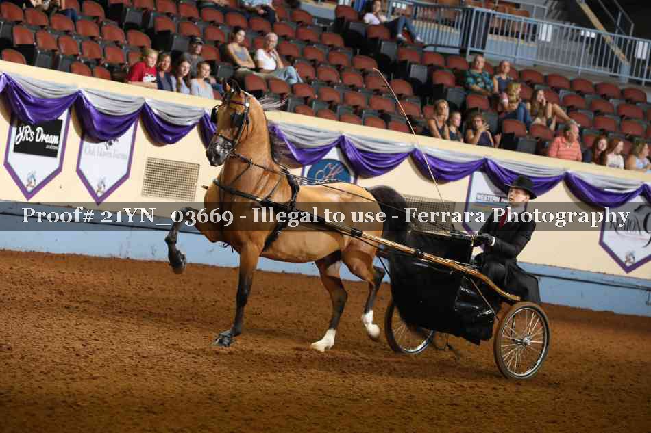 Proof 21YN_03669