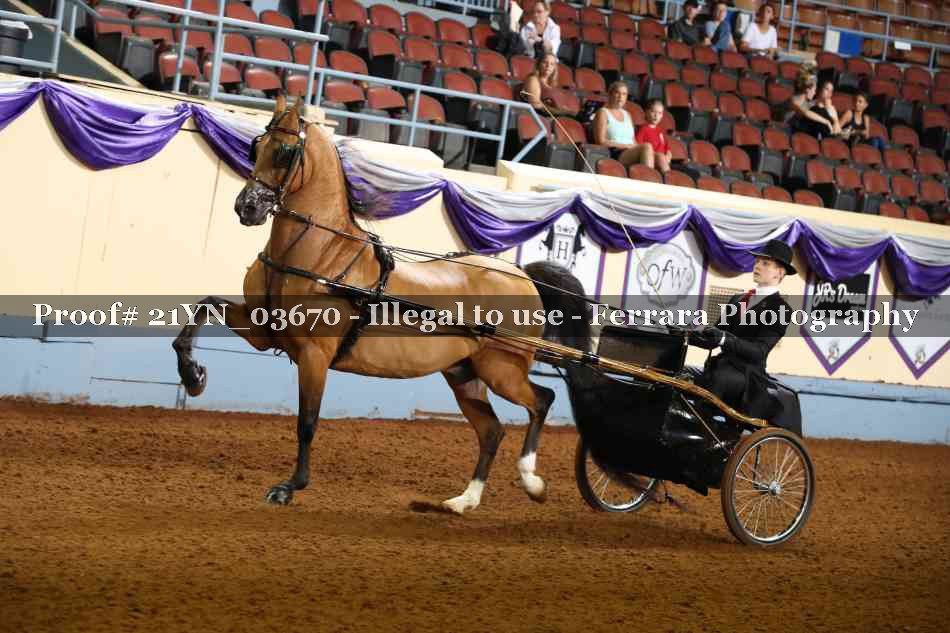 Proof 21YN_03670