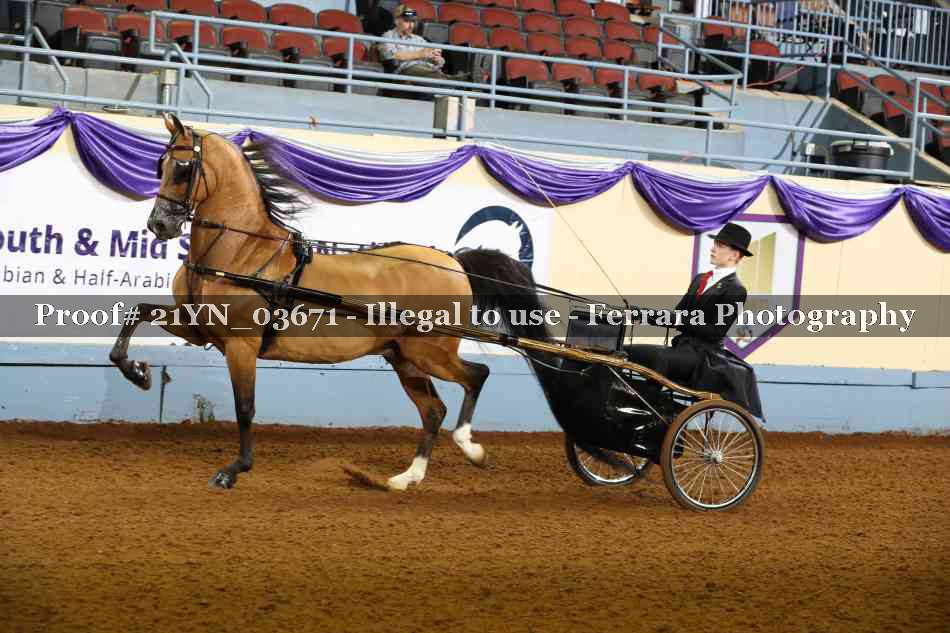 Proof 21YN_03671