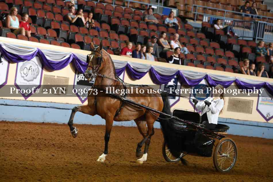 Proof 21YN_03673