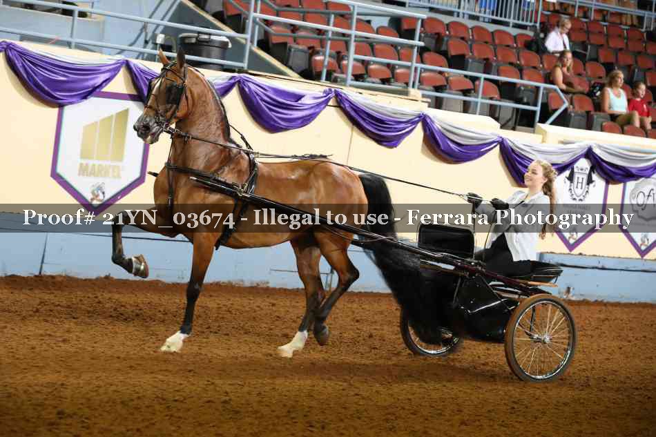 Proof 21YN_03674