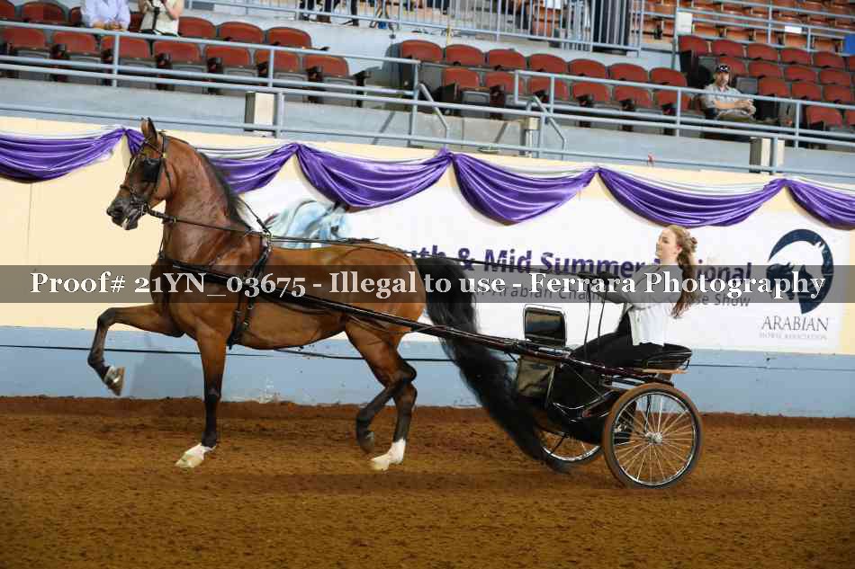 Proof 21YN_03675