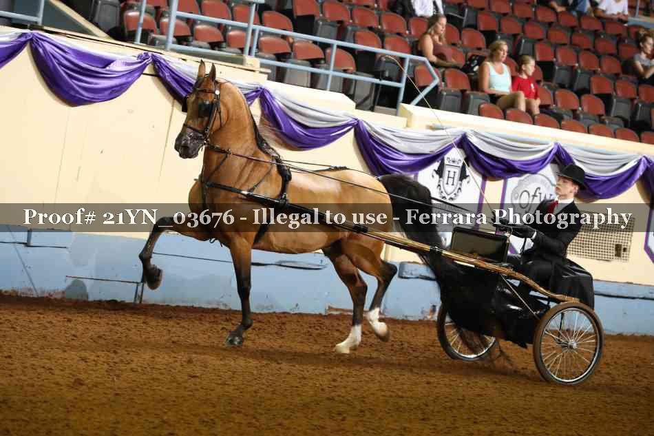 Proof 21YN_03676
