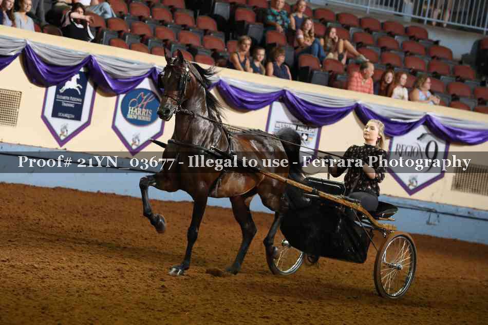 Proof 21YN_03677