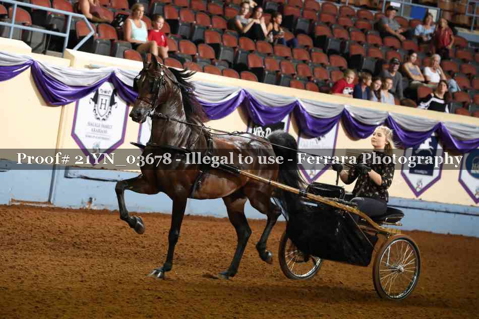 Proof 21YN_03678