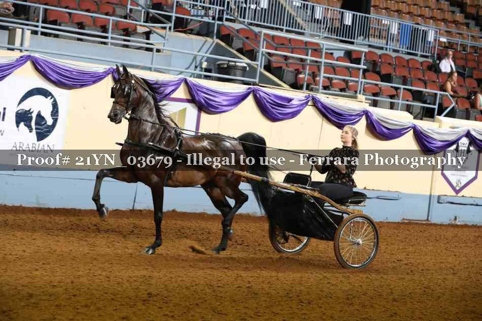 Proof 21YN_03679