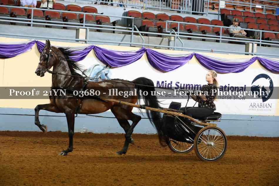 Proof 21YN_03680