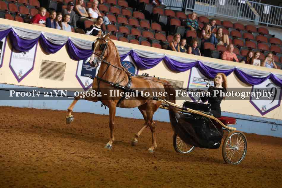 Proof 21YN_03682