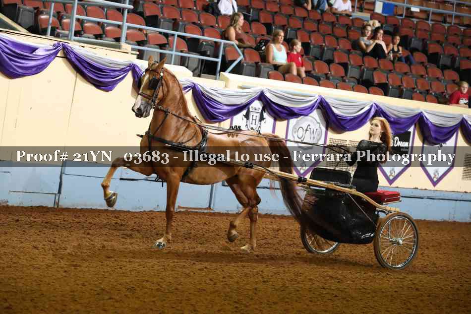 Proof 21YN_03683