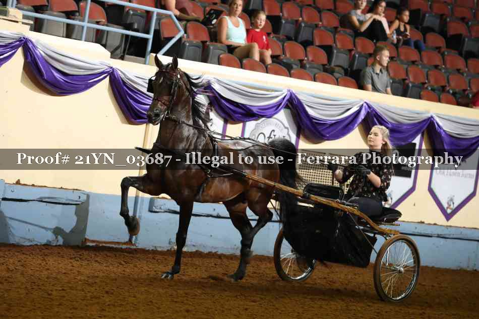 Proof 21YN_03687