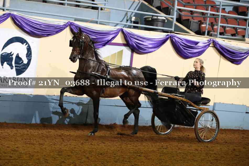Proof 21YN_03688