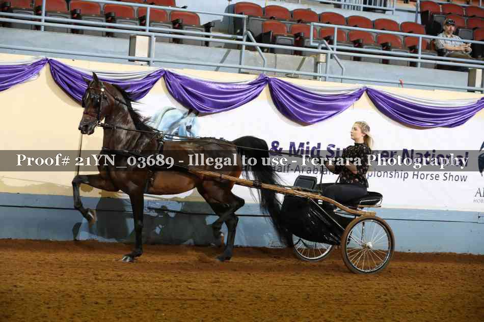Proof 21YN_03689