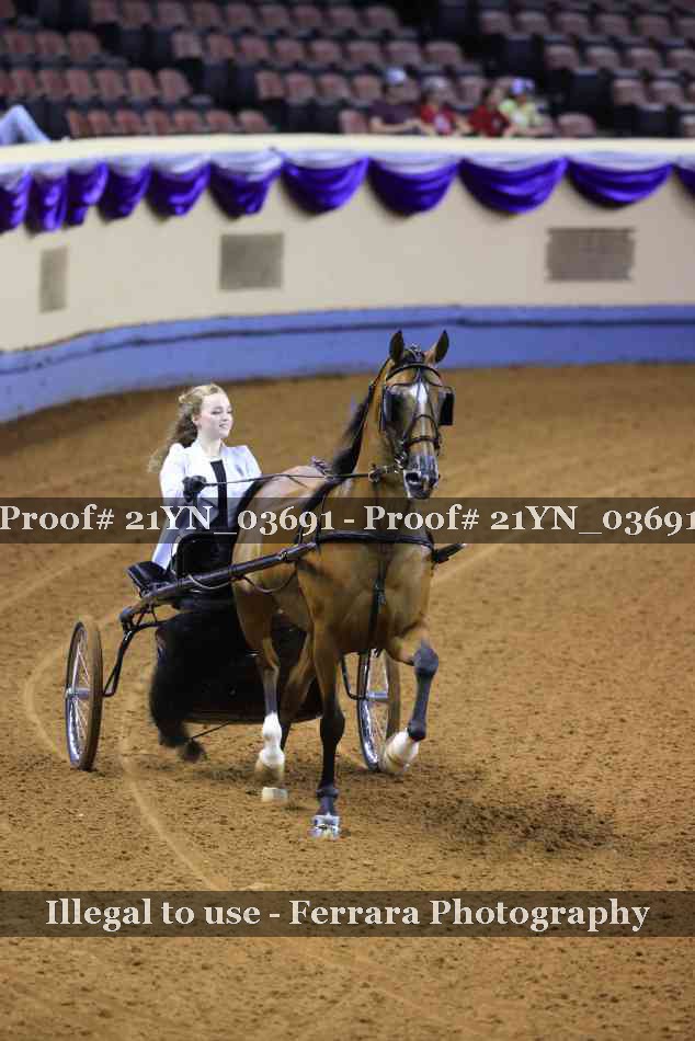 Proof 21YN_03691