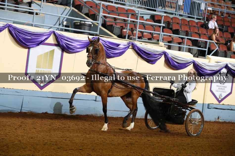 Proof 21YN_03692
