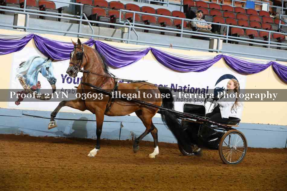 Proof 21YN_03693