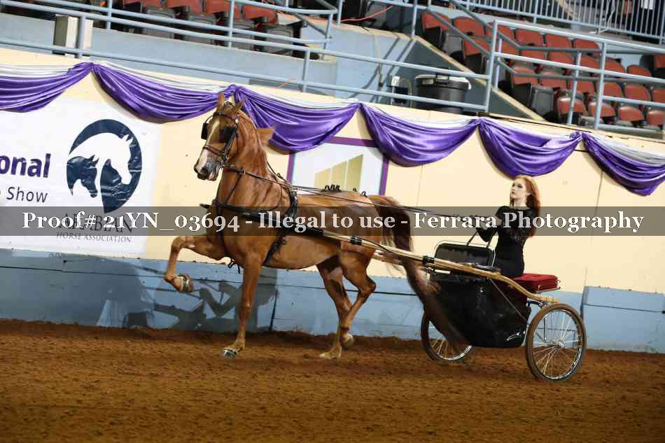 Proof 21YN_03694