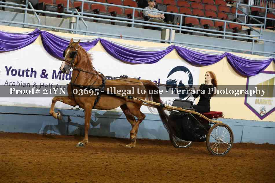 Proof 21YN_03695