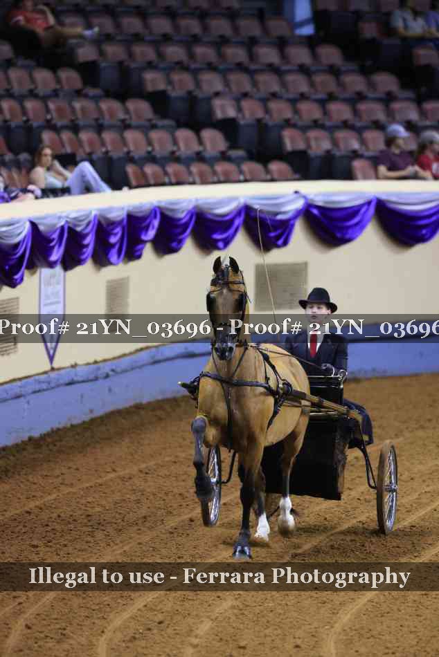 Proof 21YN_03696