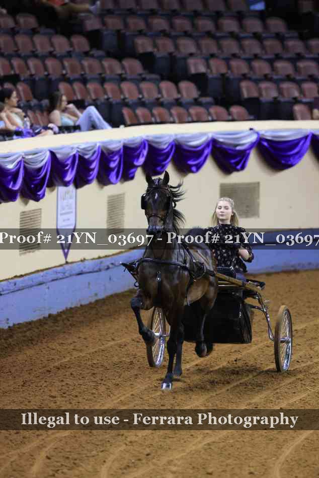 Proof 21YN_03697