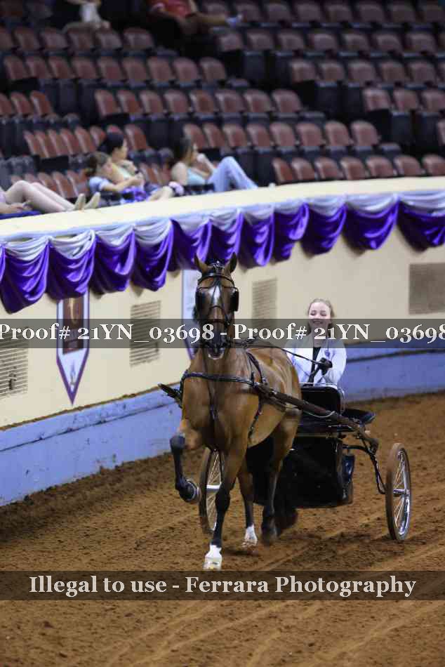 Proof 21YN_03698