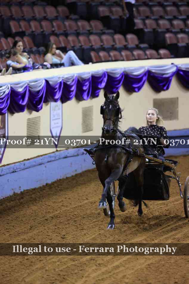 Proof 21YN_03701