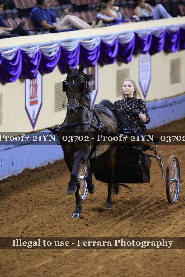 Proof 21YN_03702