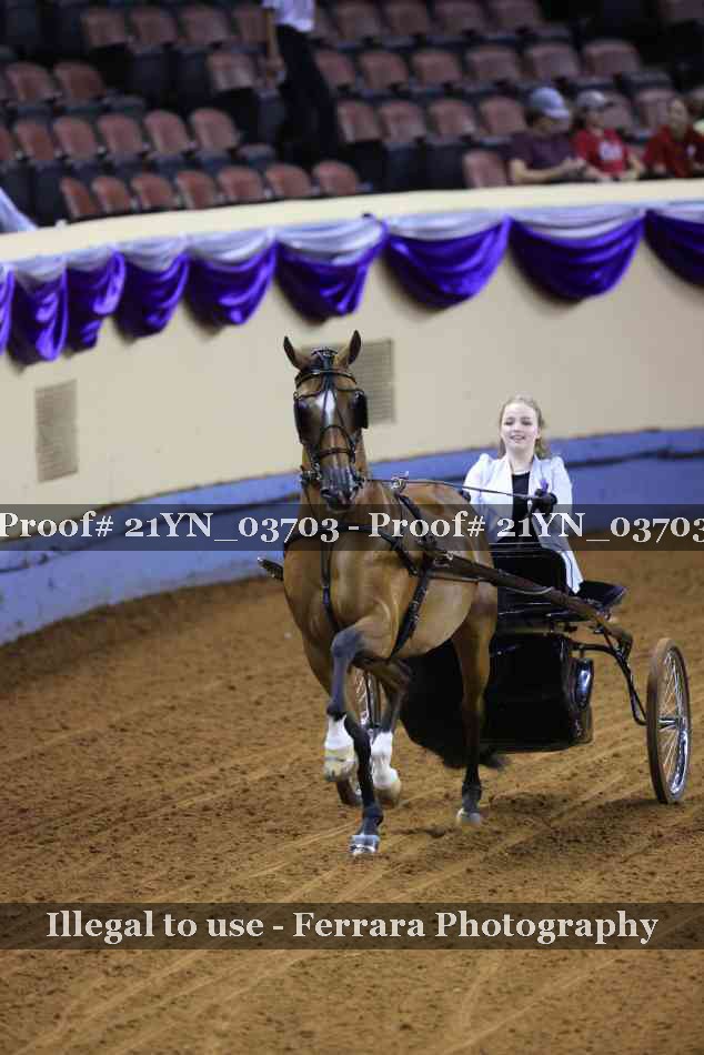 Proof 21YN_03703
