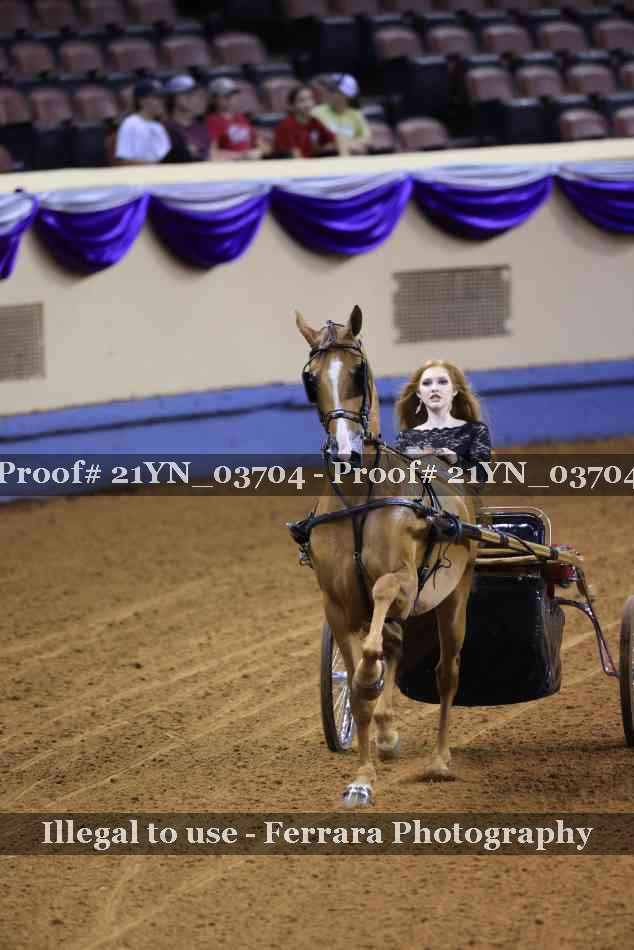 Proof 21YN_03704