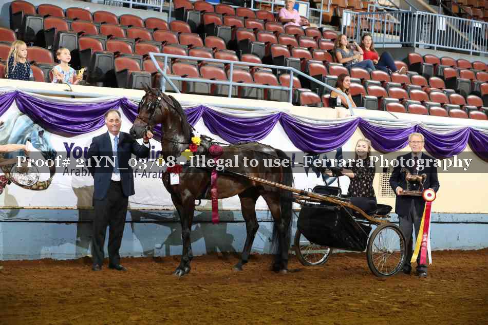 Proof 21YN_03708