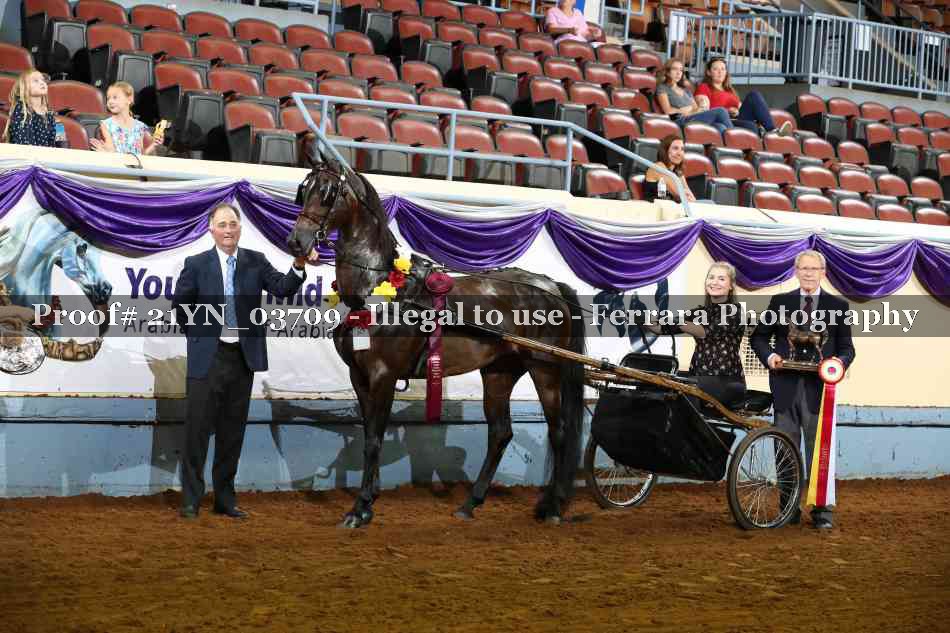 Proof 21YN_03709