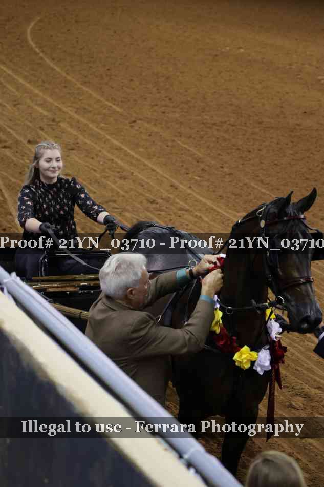 Proof 21YN_03710