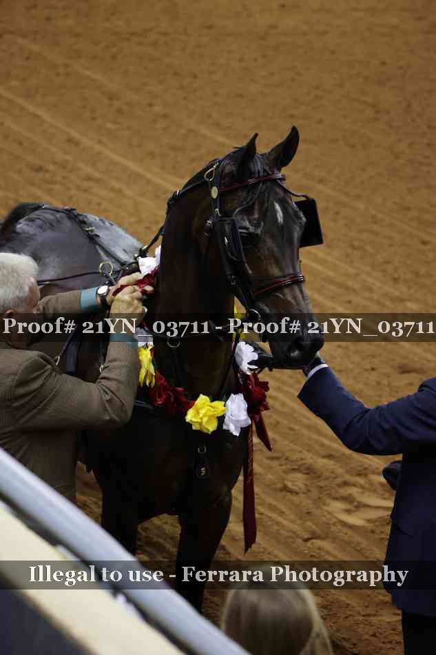 Proof 21YN_03711