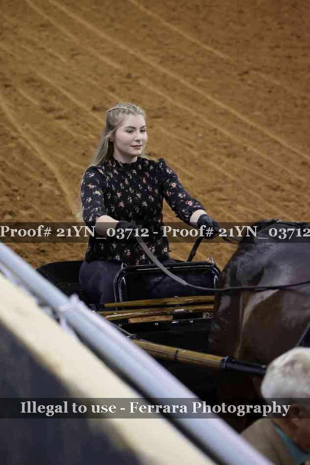 Proof 21YN_03712