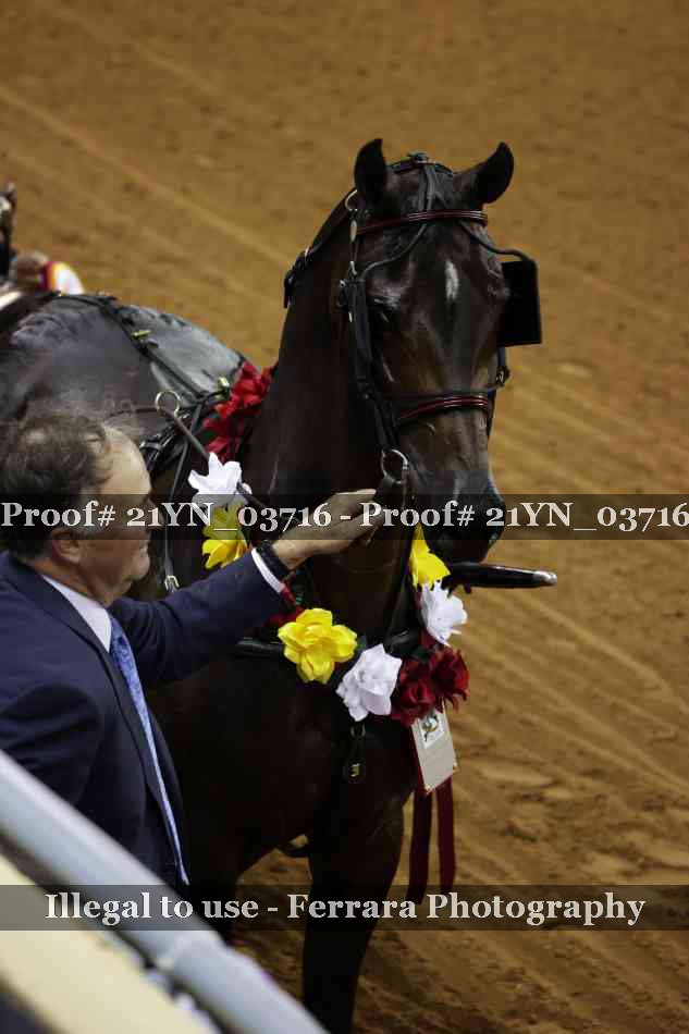 Proof 21YN_03716