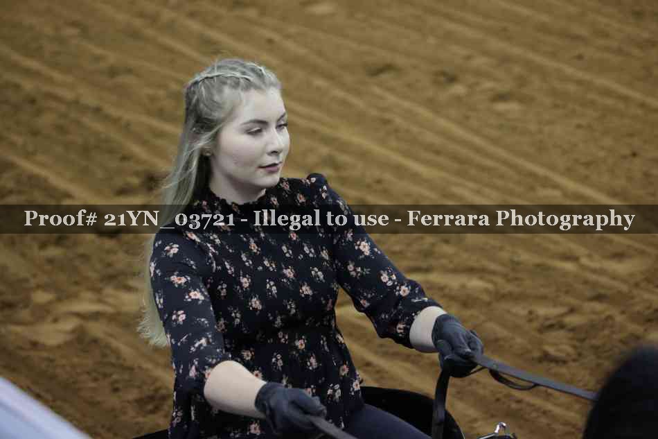 Proof 21YN_03721