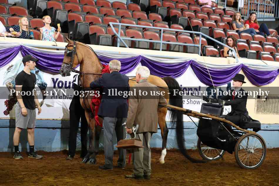 Proof 21YN_03723